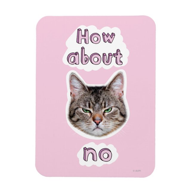 Íman Gato Irritado (Vertical)