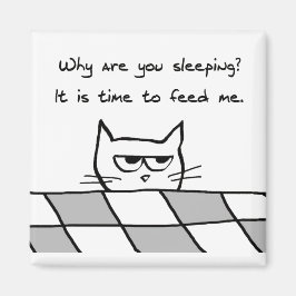 Íman Gato Irritado Quer Você Fora Da Cama