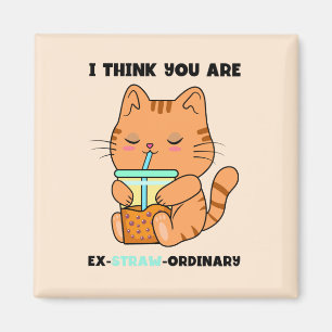 Íman Gato laranja você é um belo bobo rosa