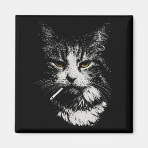 Íman Gato Legal Engraçado Cigarro Engraçado Cigarro Ga 