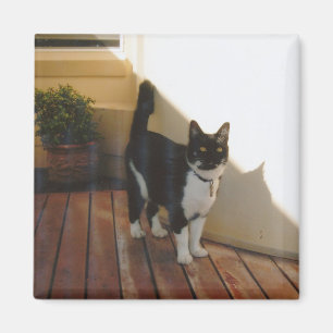 Íman Gato mágico - personalizado