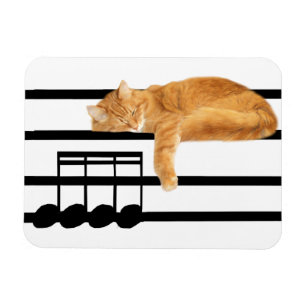 Íman Gato musical do gatinho do gato malhado