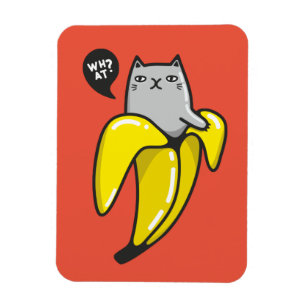 Íman Gato na banana
