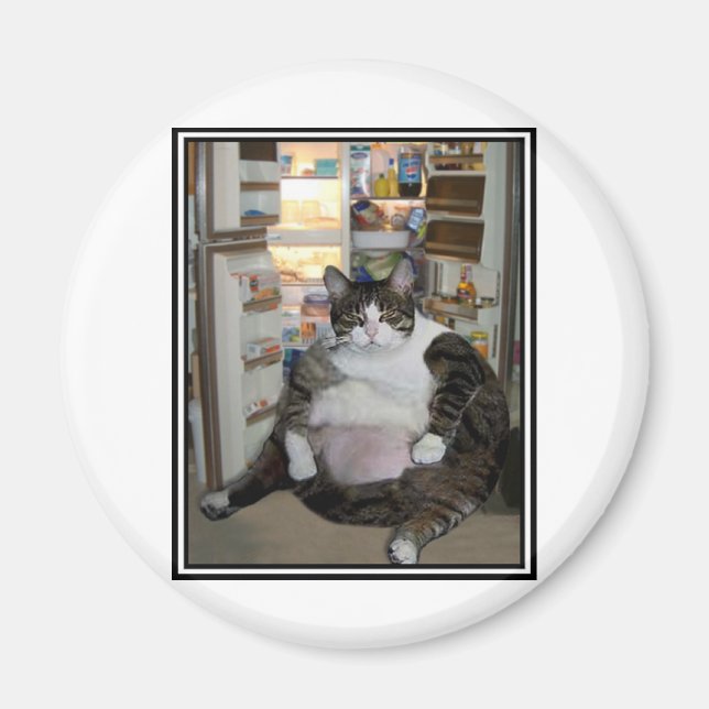 ÍMAN GATO NA ESFERA (Frente)