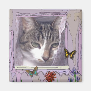Íman Gato na janela