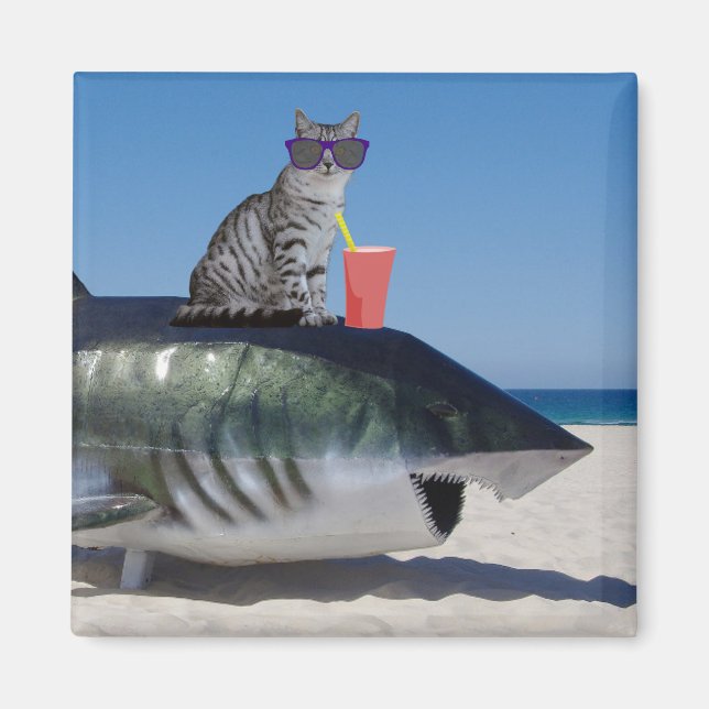 ÍMAN GATO NA PRAIA SHARK MAGNET (Frente)