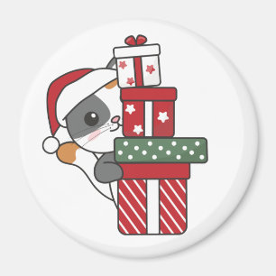 Íman Gato Natal Presente Inverno Animais Gatos Magnet