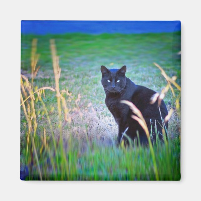 Íman Gato Negro (Frente)