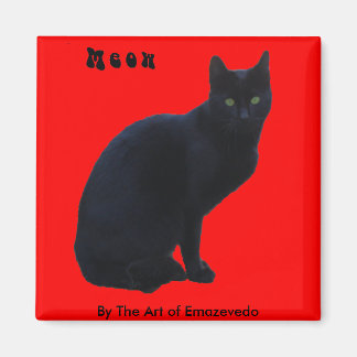 Íman Gato Negro