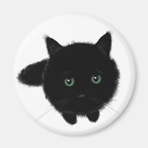 Íman Gato Negro