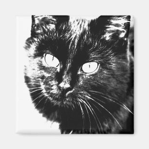 Íman Gato Negro Bonito Negro Gato Gatinho Olhos Esboço