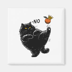 Íman Gato Negro Engraçado Que Não Tem Reis Na América K