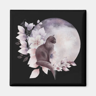 Íman Gato Negro por uma Lua Mágica Cheia