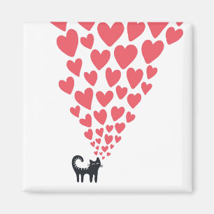 Íman Gato no amor