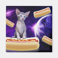 GATO NO ESPAÇO COM MAGNETS DE CÃES QUENTES