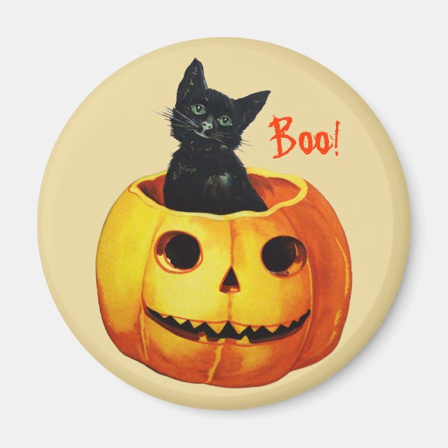 Íman Gato no Mídia de Halloween de Pumpkin (Frente)