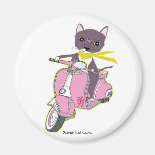 Íman Gato no rosa