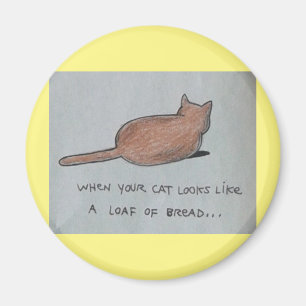 Íman Gato parece pão pão pão pão pão fourado, mass