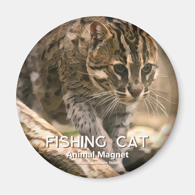 Íman Gato Peixeiro (Frente)