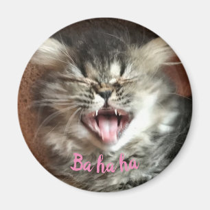 Íman Gato Persa Engraçado Rindo Gatinho de Cinzas Humor