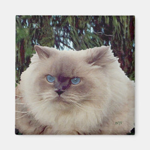 Íman Gato Persa Himalaio