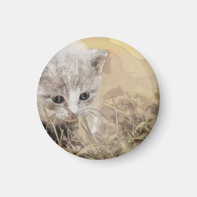 Íman Gato, Pet, Gato (Frente)
