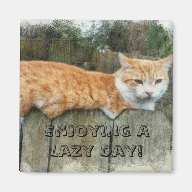 Íman Gato preguiçoso (Frente)