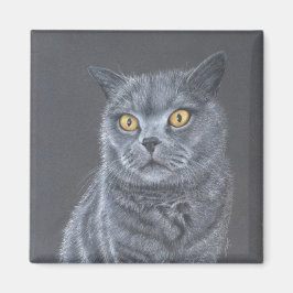 Íman Gato preto