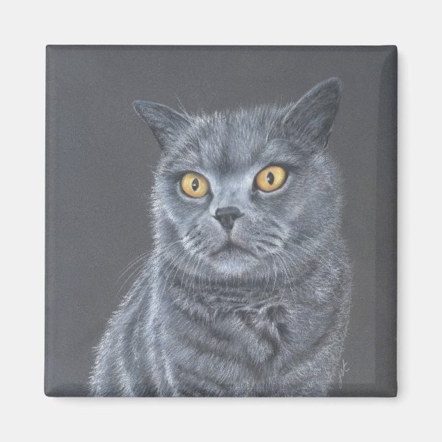 Íman Gato preto  (Frente)