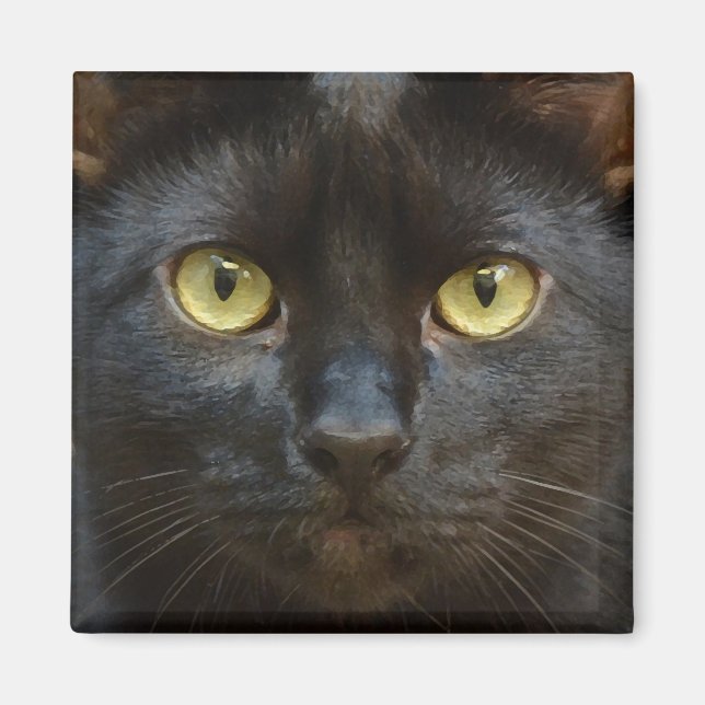 Íman Gato preto assustador (Frente)