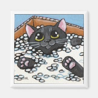 Íman Gato Preto em uma Caixa de Amendoins | Magneta