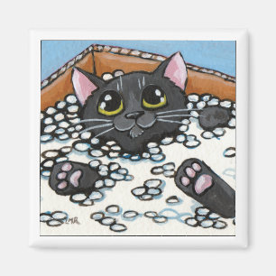 Íman Gato preto em uma caixa do ímã do gato dos