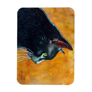 Íman Gato preto no perfil