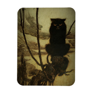 Íman Gato preto que Scowling