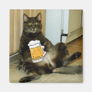 Íman Gato que come uma cerveja