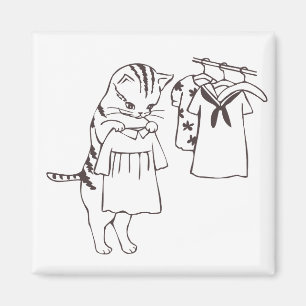 Íman gato que faz a lavanderia