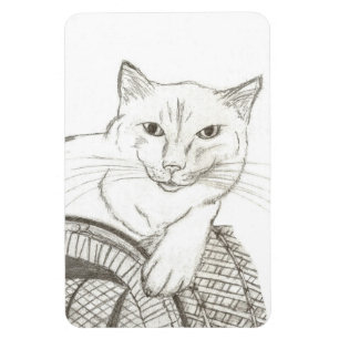 Íman Gato Ragdolé Retrato Flexível