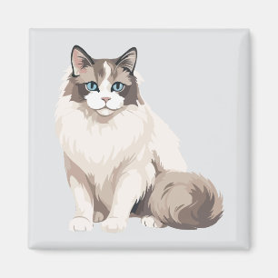 Íman Gato Ragdoll