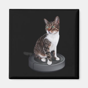 Íman Gato Robô Gato De Gato De Vácuo Clonado Felino