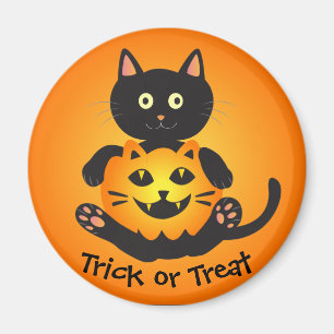 Íman Gato segurando Jack-o-Lanterna