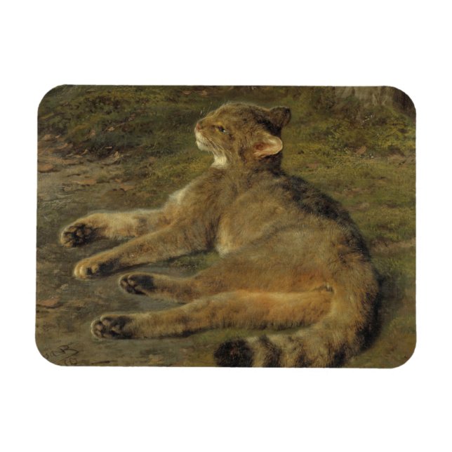 Íman Gato selvagem (por Rosa Bonheur) (Horizontal)