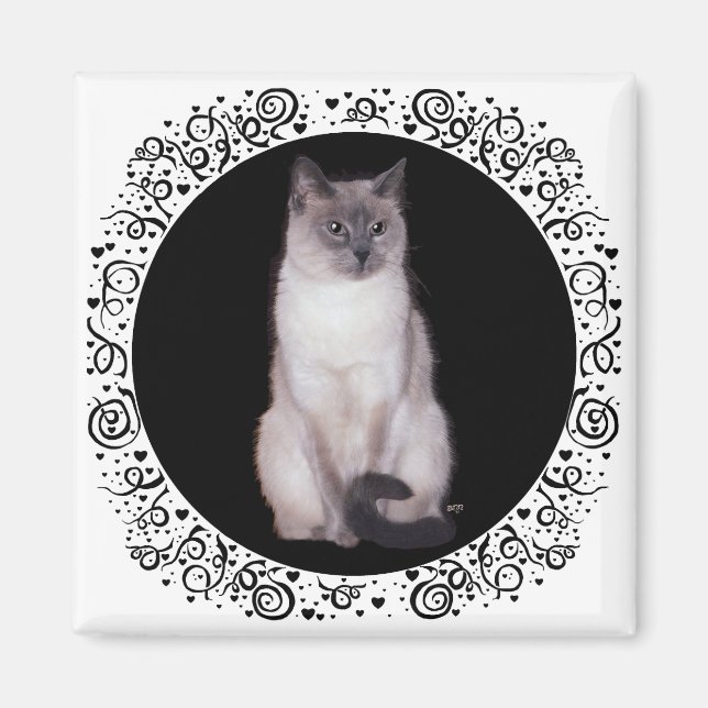 Íman Gato Siames (Frente)