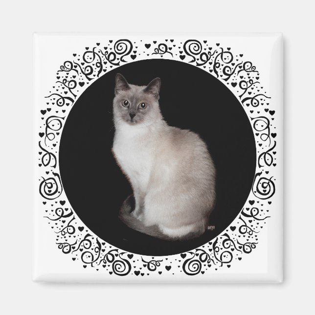 Íman Gato Siames (Frente)