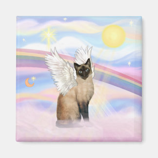 Íman Gato Siames - Nuvens