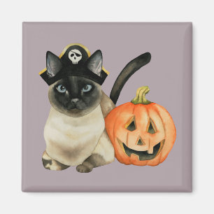 Íman Gato Siamese bonito do pirata com a lanterna de