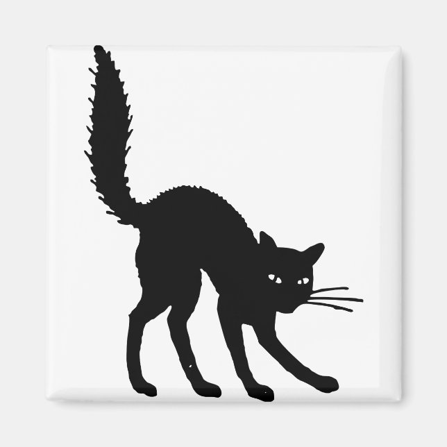 Íman Gato Silhoueen Negro Gato Assustado (Frente)