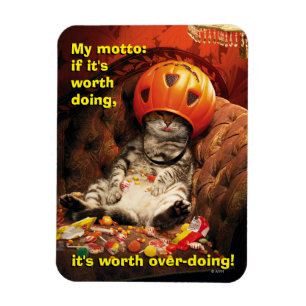 Íman Gato Sob Balde De Doces