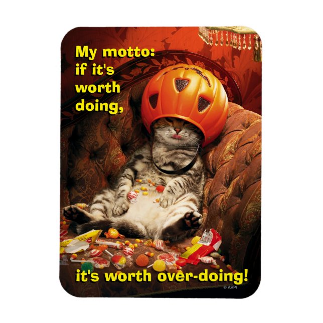 Íman Gato Sob Balde De Doces (Vertical)