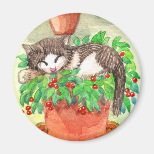 Íman Gato Sonolento
