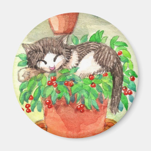 Íman Gato Sonolento (Frente)
